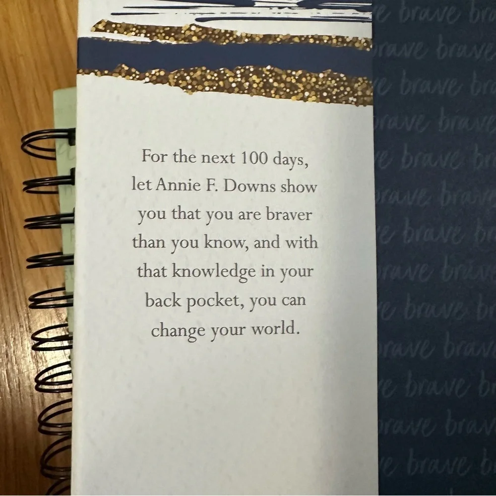 100 Days to Brave by Annie Downs Devotional and blank Christian Journal NEW